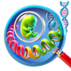 Developmental Biology